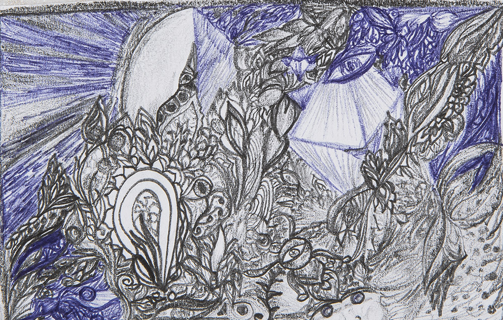 Underwater Garden (paper, pencil, ink)